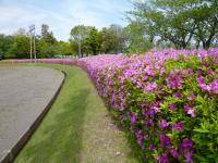 焼津市 中公園の画像1