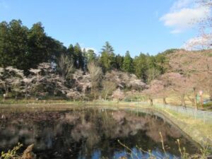 湯沢市 愛宕公園の画像6