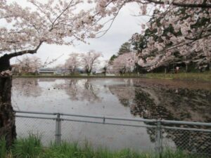 湯沢市 愛宕公園の画像3