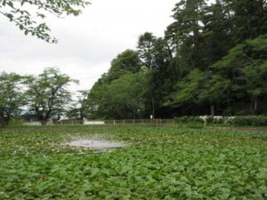 湯沢市 愛宕公園の画像4