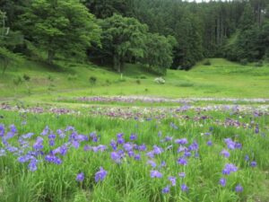 湯沢市 愛宕公園の画像5