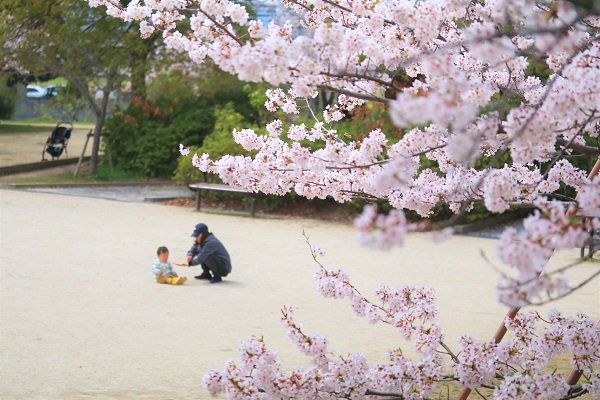 橿原市 耳成山公園の画像3