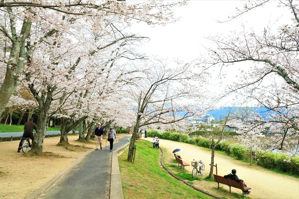 橿原市 耳成山公園の画像2