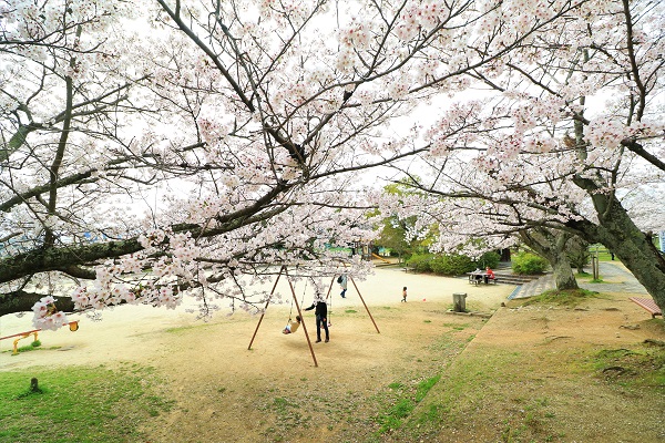 橿原市 耳成山公園の画像1