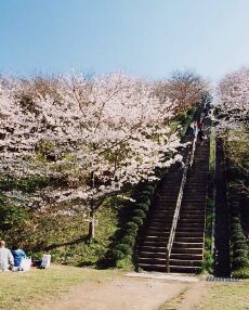 逗子市 桜山中央公園の画像2