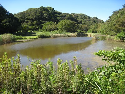 逗子市 池子の森自然公園の画像1