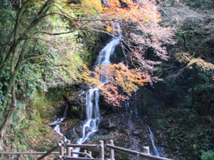 大洲市 白滝公園の画像2