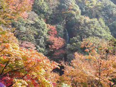 大洲市 白滝公園の画像1