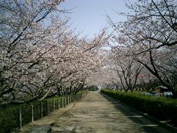 下関市 戦場ヶ原公園の画像1