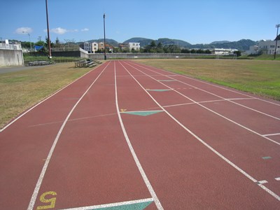 逗子市 池子の森自然公園の画像2