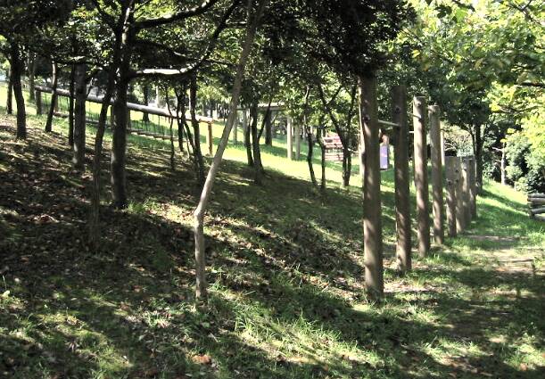 逗子市 アーデンヒル花の森公園の画像1