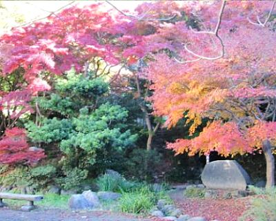 逗子市 蘆花記念公園の画像2