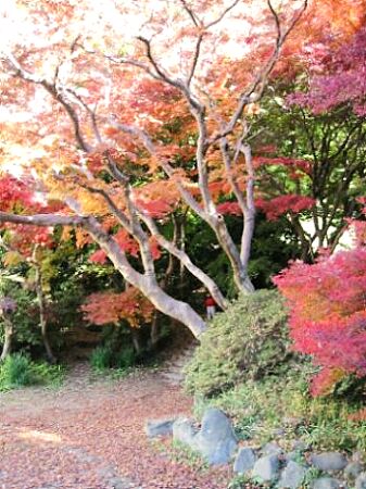 蘆花記念公園（神奈川県逗子市の公園）