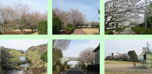 成田市 後谷津公園の画像1