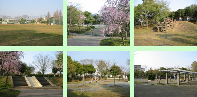 成田市 神宮寺公園の画像1