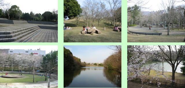 成田市 赤坂公園の画像1