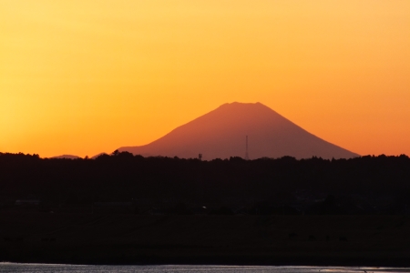 成田市 下総利根宝船公園の画像2