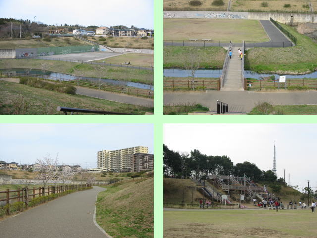 成田市 公津の杜公園の画像1