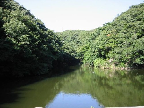 逗子市 久木大池公園の画像1