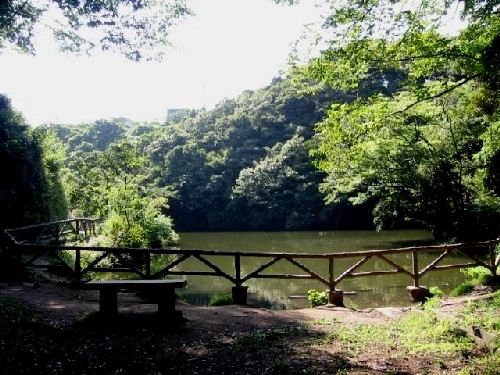 逗子市 久木大池公園の画像2