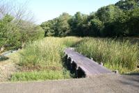 静岡県焼津市栃山川自然生態観察公園の画像1