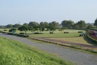 静岡県焼津市大井川河川敷運動公園の画像1