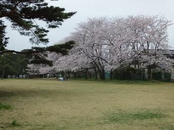 我孫子市 気象台記念公園の画像2