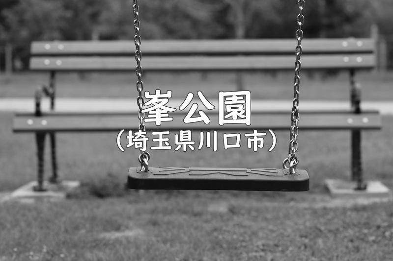 峯公園（埼玉県川口市の公園）