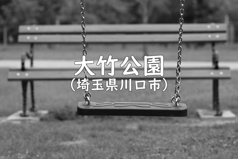 大竹公園（埼玉県川口市の公園）
