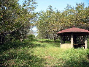 富士宮市　明星山公園